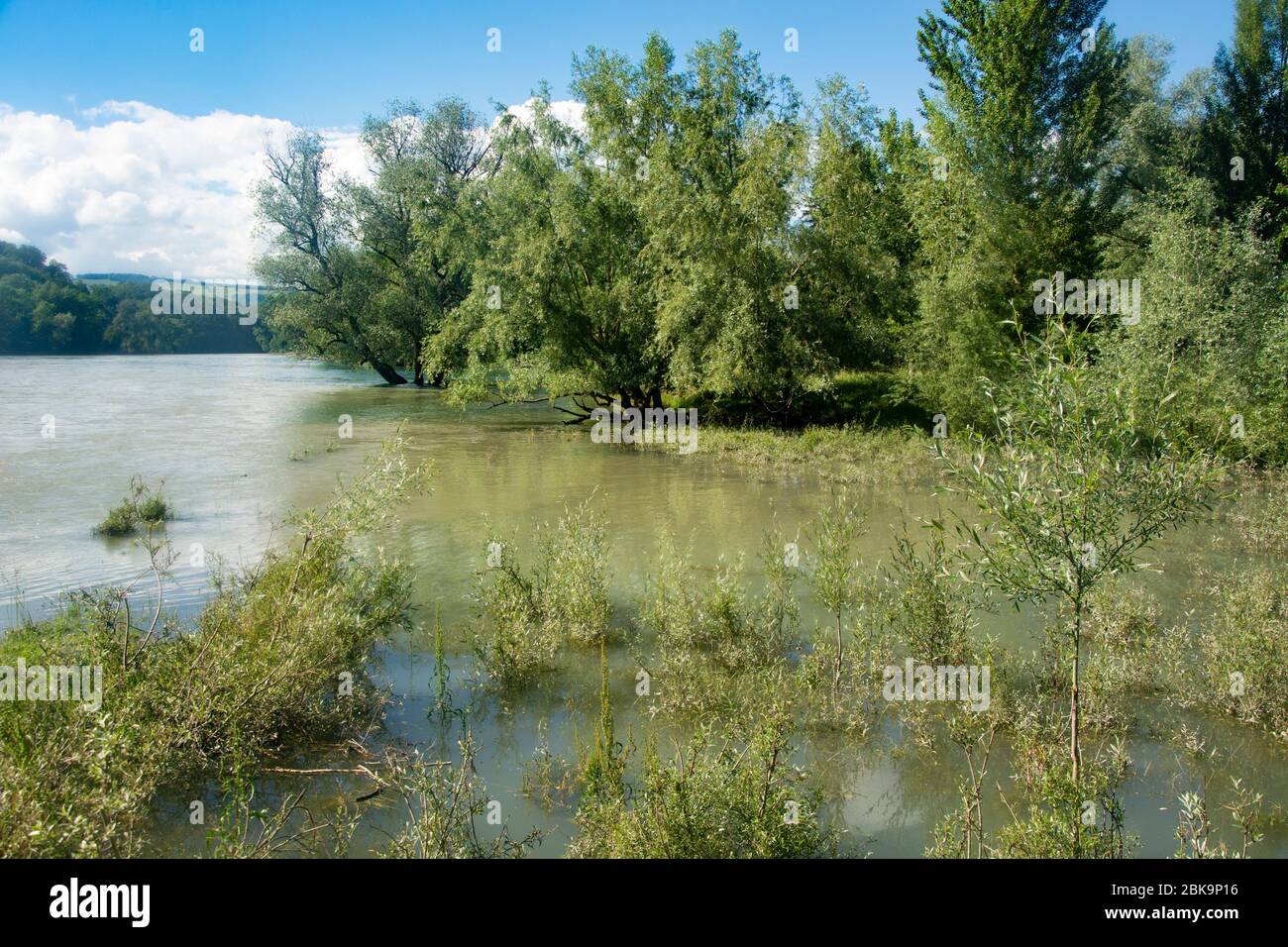 Der Limmatspitz - Zusammenfluss der Limmat und Aare - bei Hochwasser Foto Stock