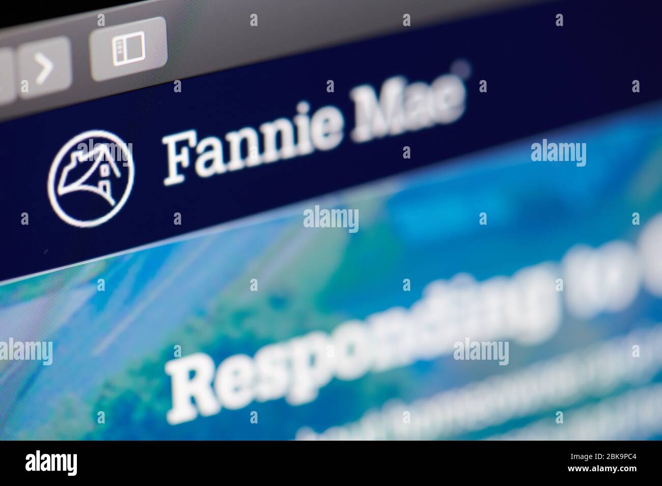 New-York , Stati Uniti - Aprile 29 , 2020:Fannie Mae home web page primo piano vista sullo schermo del laptop Foto Stock