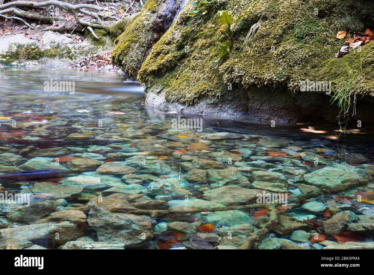 Particolare del torrente di montagna dal Parco Nazionale delle Gole di Nerei, Romania Foto Stock