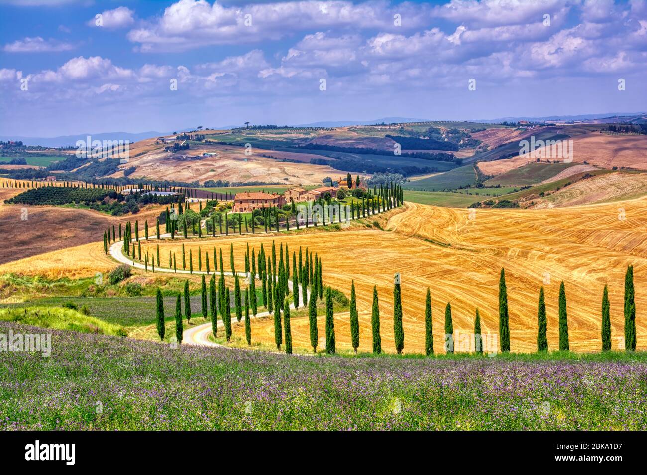 Toscana, Italia - Luglio 5, 2018: cipressi e prato con tipica casa toscana, Val d'Orcia, Italia - Toscana Foto Stock