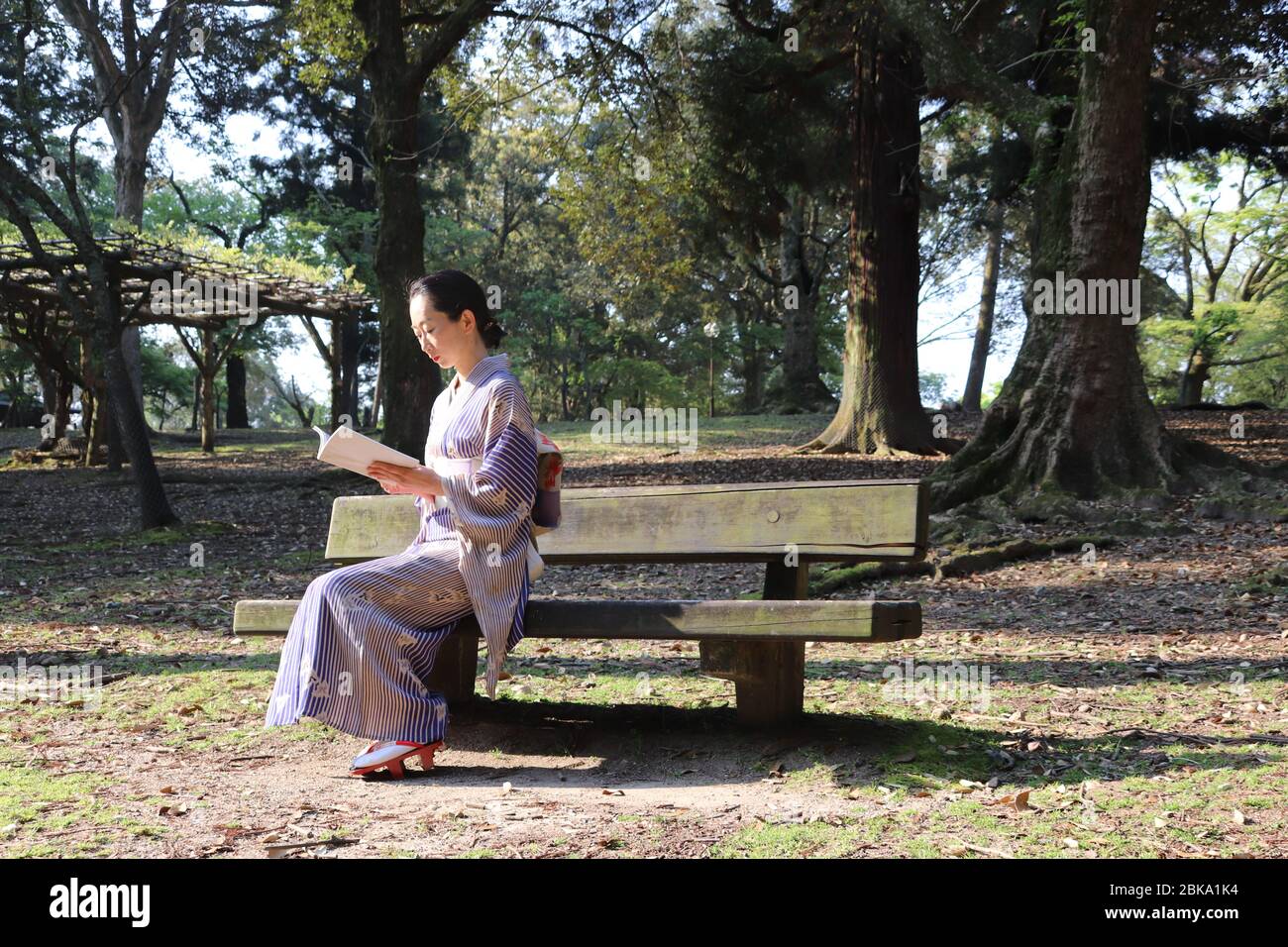 Donna giapponese in kimono che legge un libro su una panchina in un parco Foto Stock