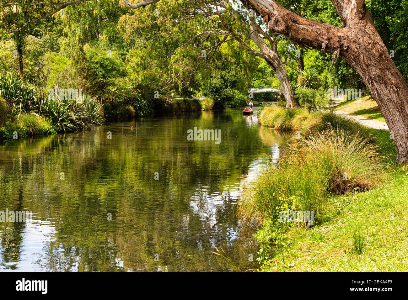 Il fiume Avon attraversa Hagley Park a Christchurch in Nuova Zelanda. Foto Stock