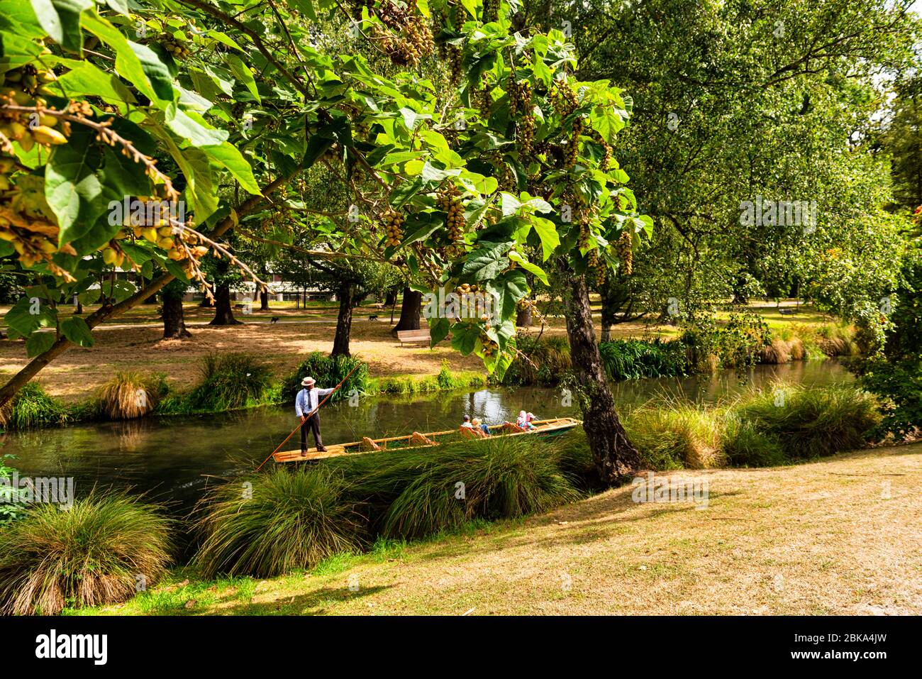 Il fiume Avon attraversa Hagley Park a Christchurch in Nuova Zelanda. Foto Stock