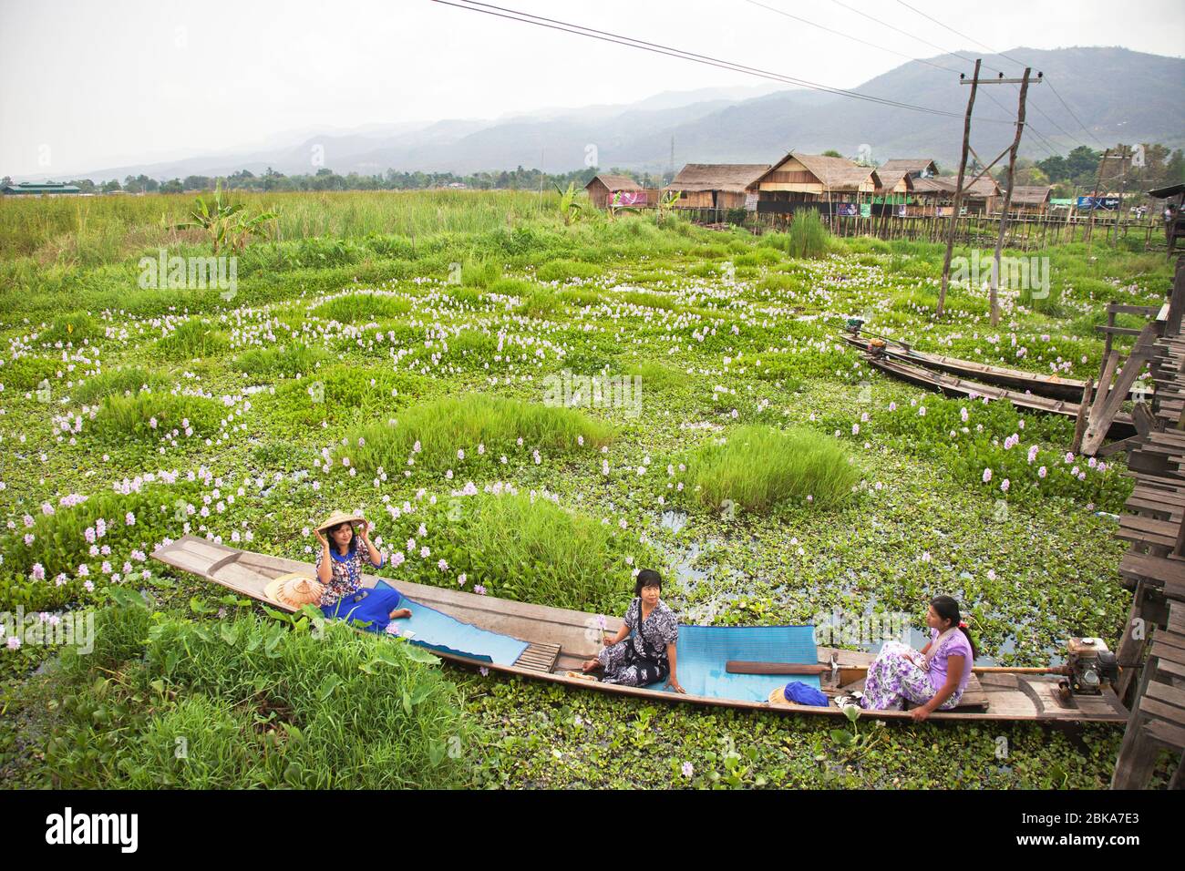 Donne in un canoa con fiori galleggianti, villaggio Maing Thayuk, lago Inle, stato di Shan, Myanmar, Asia Foto Stock