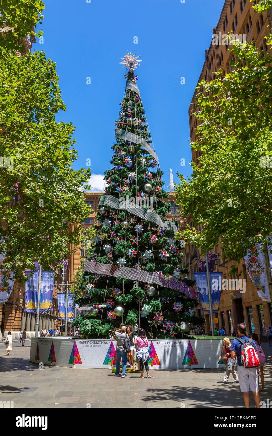 Vista dell'albero di Natale su Pitt Street, Sydney, nuovo Galles del Sud, Australia Foto Stock