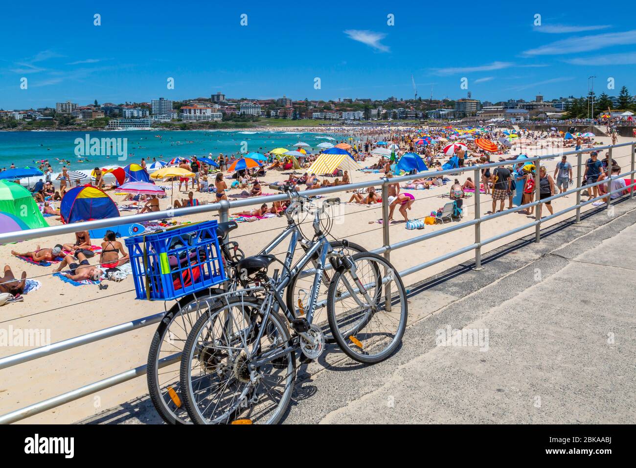 Vista di Bondi Beach, Sydney, nuovo Galles del Sud, nuovo Galles del Sud, Australia Foto Stock