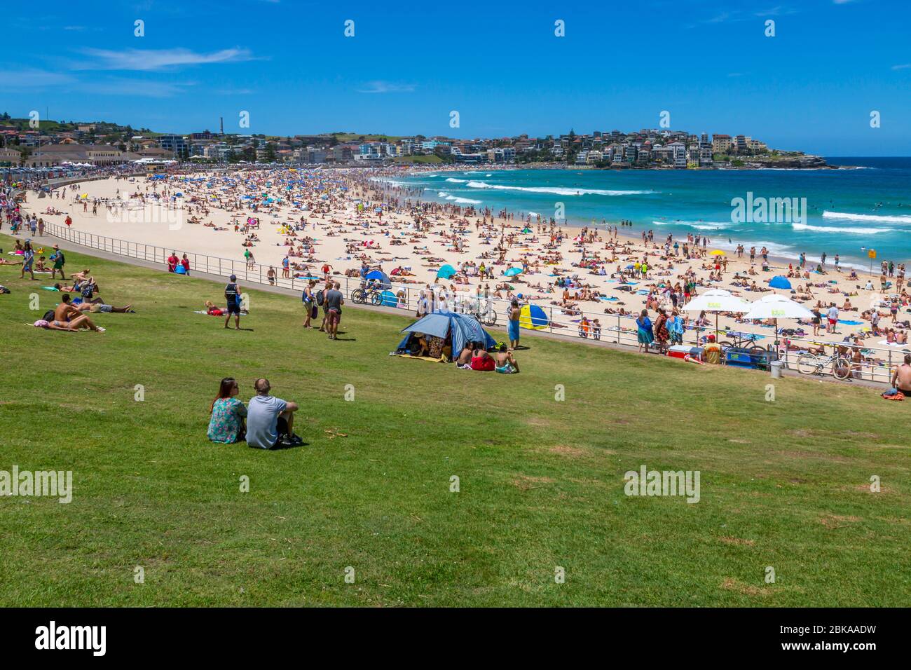 Vista di Bondi Beach, Sydney, nuovo Galles del Sud, nuovo Galles del Sud, Australia Foto Stock