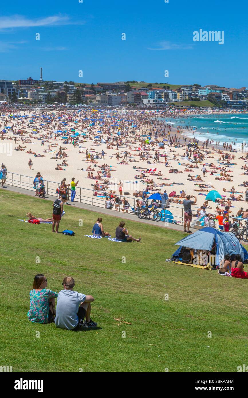 Vista di Bondi Beach, Sydney, nuovo Galles del Sud, nuovo Galles del Sud, Australia Foto Stock