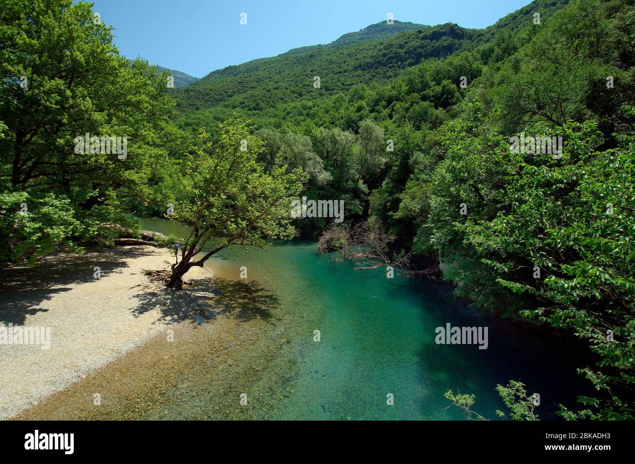 Grecia, Epiro, fiume Voidomatis con acque cristalline nel Parco Nazionale Vikos-Aoos Foto Stock