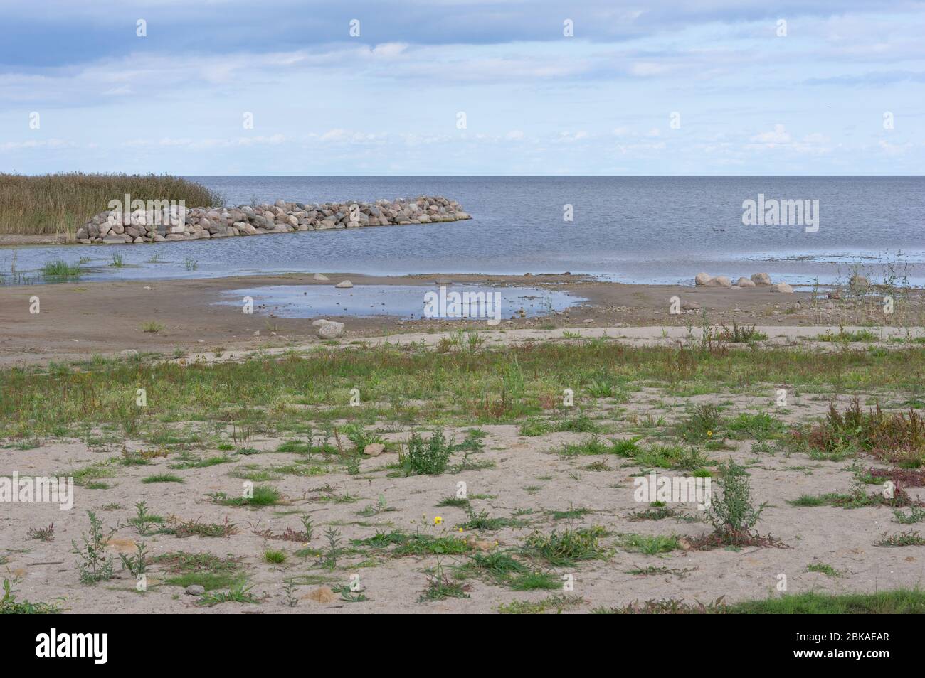 Tranquillo e tranquillo lago Peippsi in Estonia Foto Stock