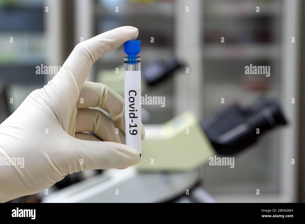 Ricerca di virus in laboratorio. Mano nel guanto che tiene in laboratorio una provetta con l'iscrizione covid-19. Campione con sangue. Foto Stock