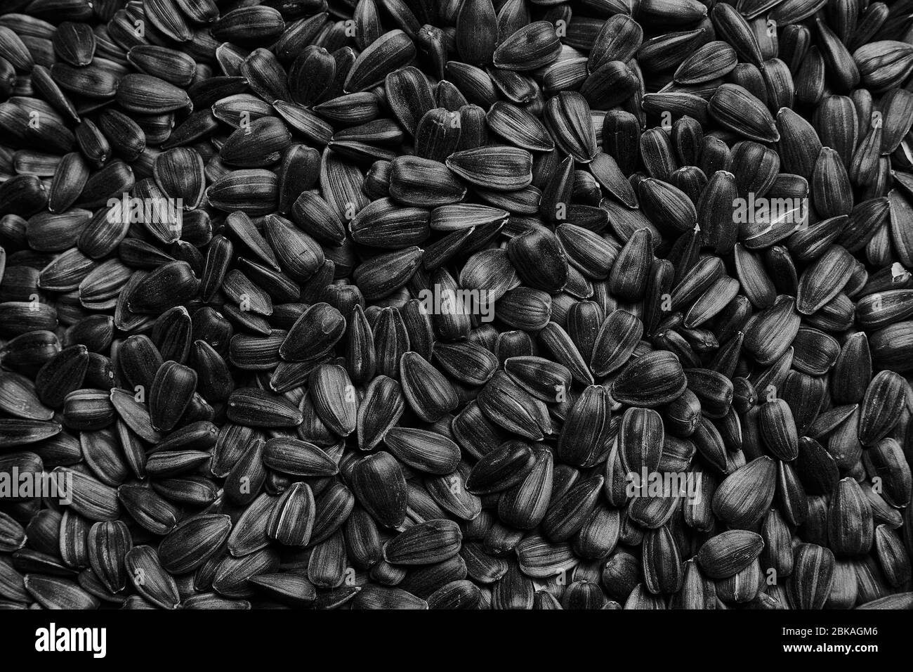 Sfondo di tessitura di semi di girasole. Semi in un guscio nero, modello. Foto di primo piano di un sacco di semi. Foto Stock