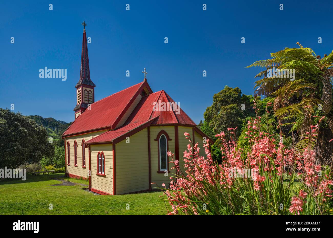 Chiesa di San Josephs, pianta di ninfee rosa, canyon della zona del fiume Whanganui, villaggio di Gerusalemme, regione di Manawatu-Wanganui, Isola del Nord, Nuova Zelanda Foto Stock