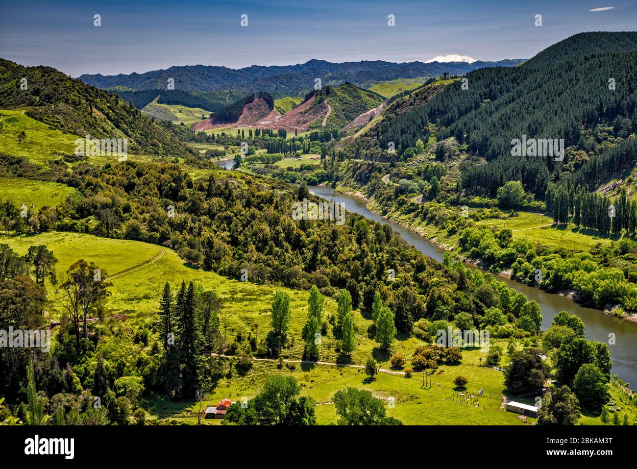 Canyon del Fiume Whanganui, Monte Ruapehu in lontananza, 70 km di distanza, vista da Whanganui River Road, Manawatu-Wanganui Regione, Isola del Nord, Nuova Zelanda Foto Stock