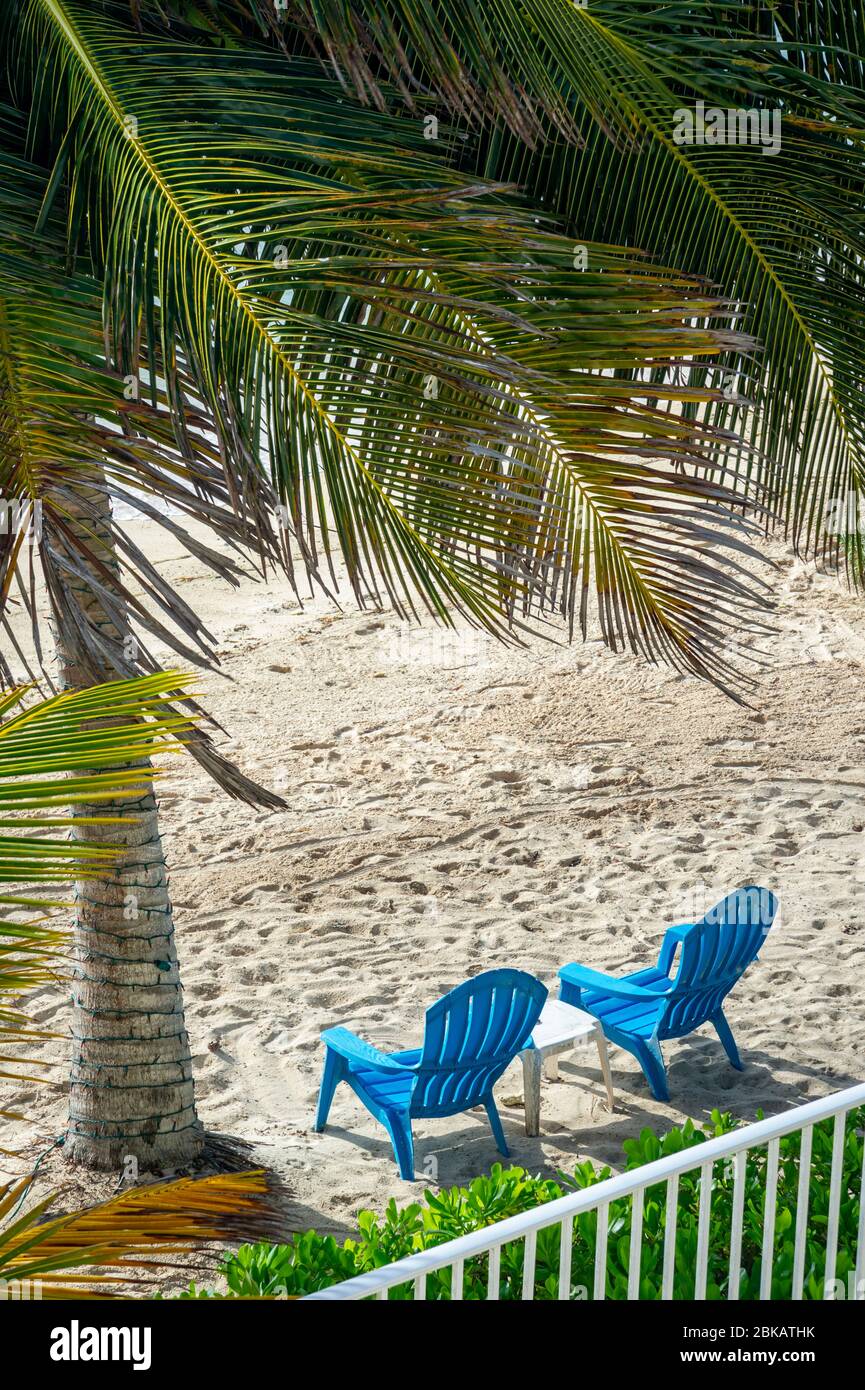 Due sedie a sdraio presso il resort, Grand Cayman Island Foto Stock