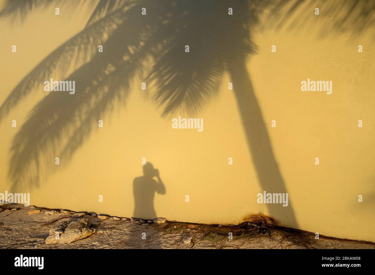 Ritratto automatico dell'ombra del fotografo Foto Stock