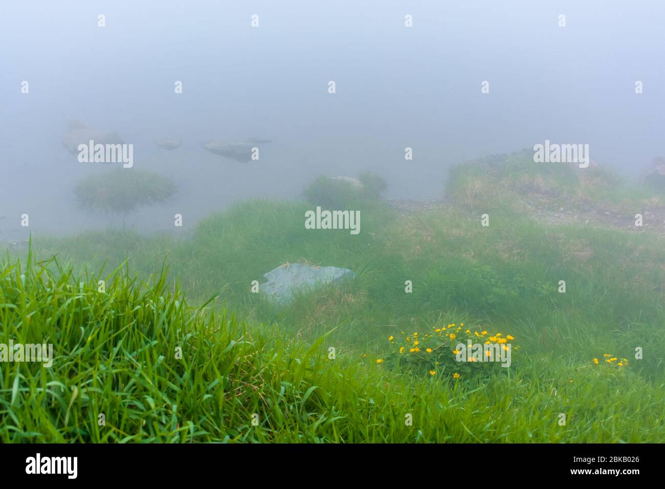 nebbia sul lago. riva erbosa con rocce. cielo coperto. natura misteriosa. concetto di scarsa visibilità Foto Stock