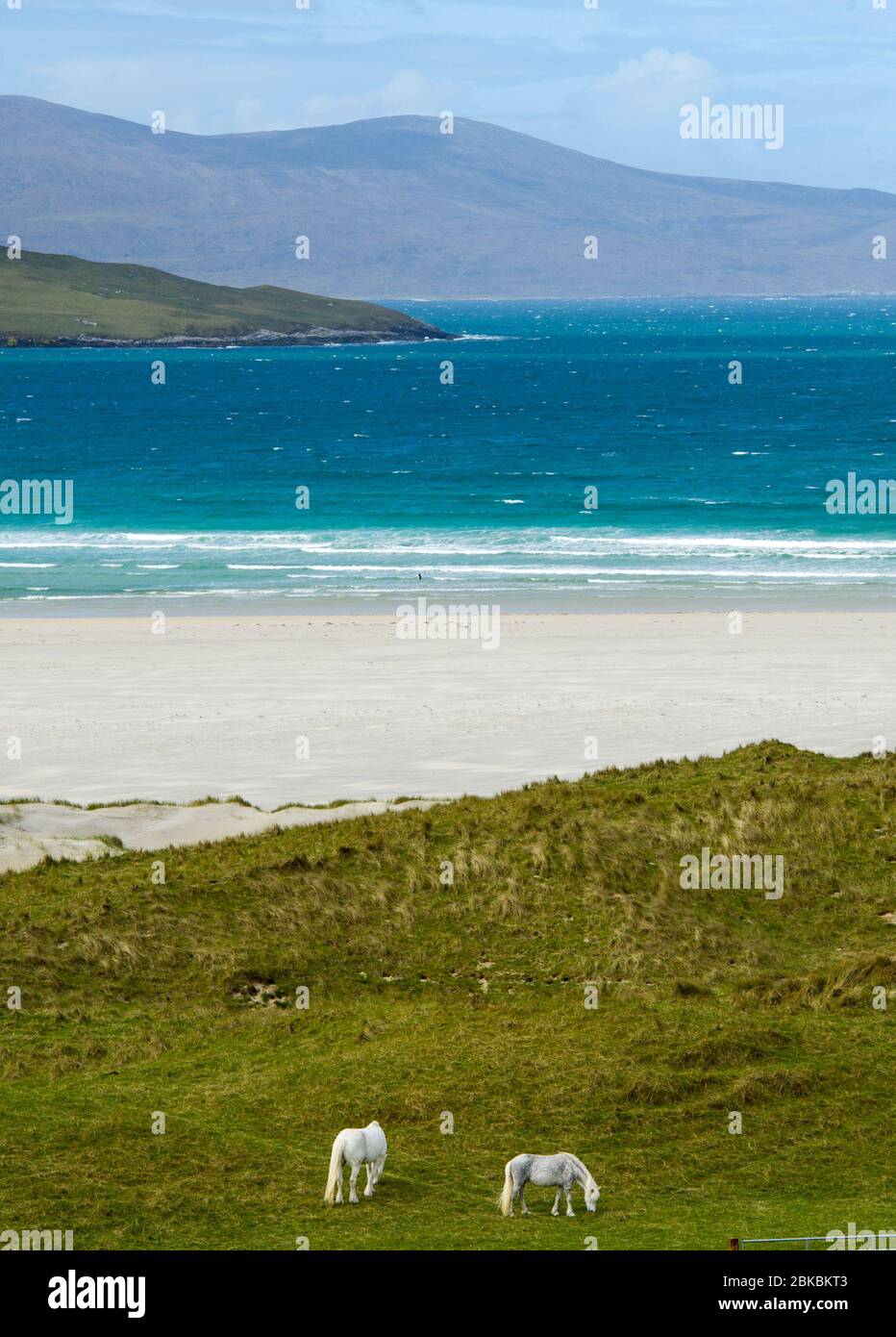 Luskentire Beach, Isola di harris, Ebridi esterne, Scozia Foto Stock