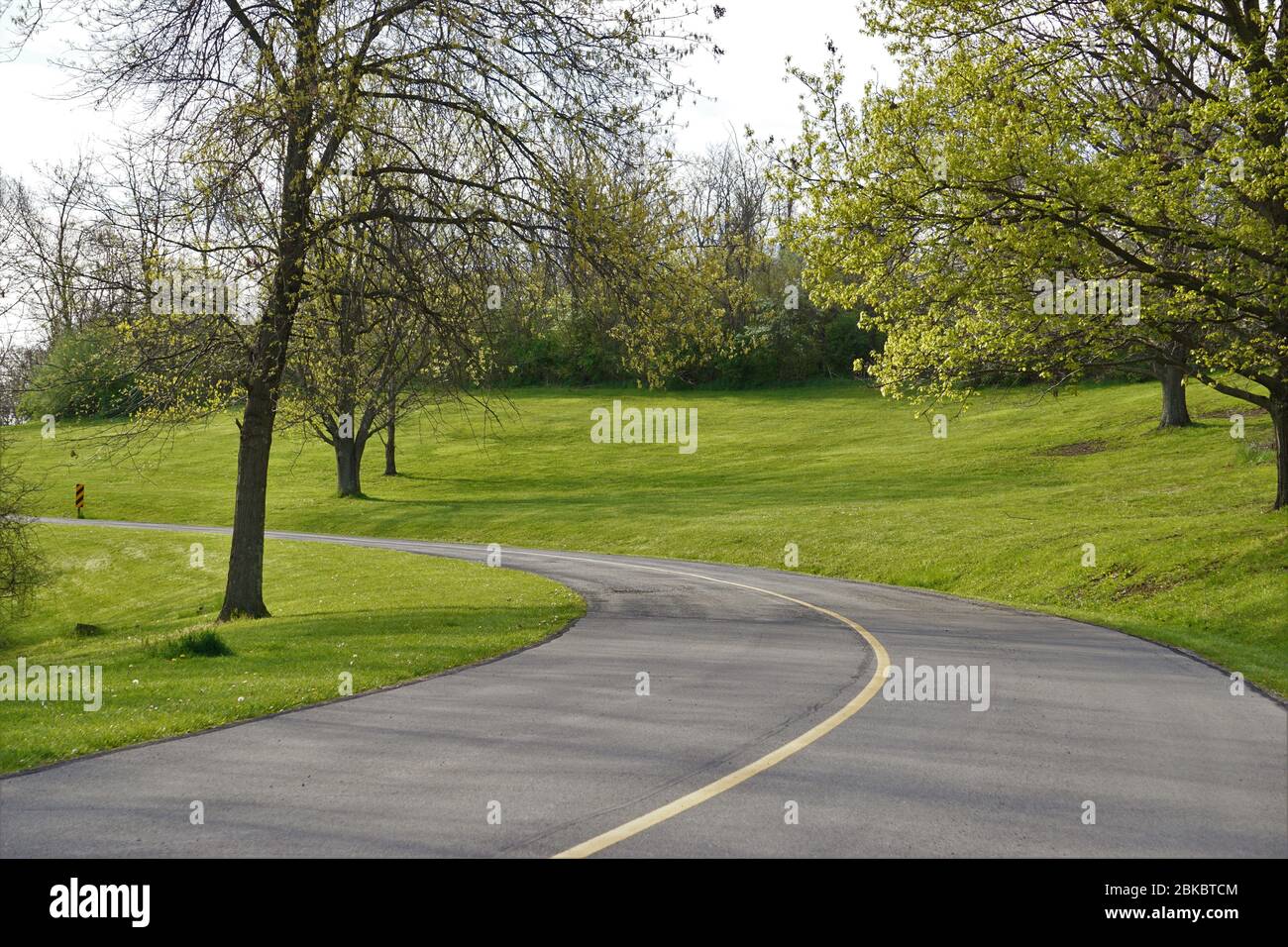 Strada curva in parco Foto Stock