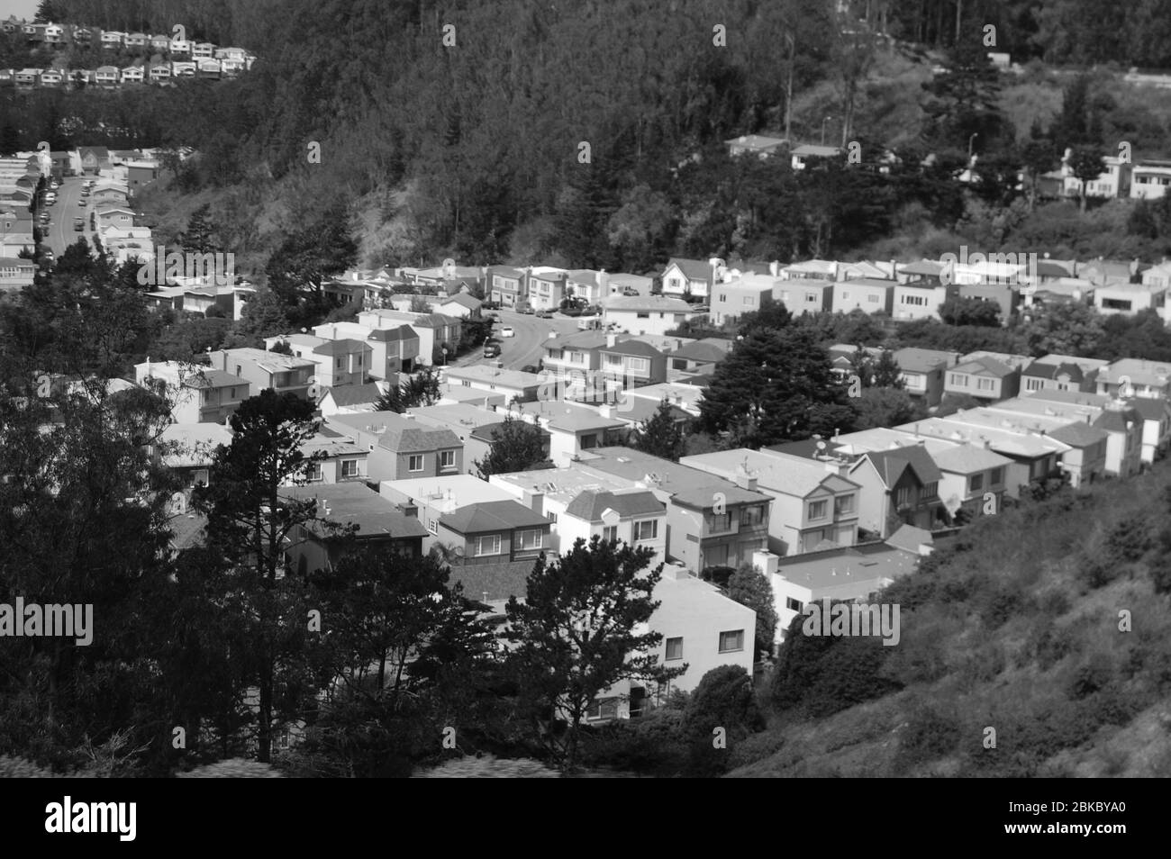 Case San Francisco USA case eleganti e appiccicosi tetto della casa parco della valle del tetto alberi di pino colline colline campagna fuori dal cespuglio del tempo tossico Foto Stock
