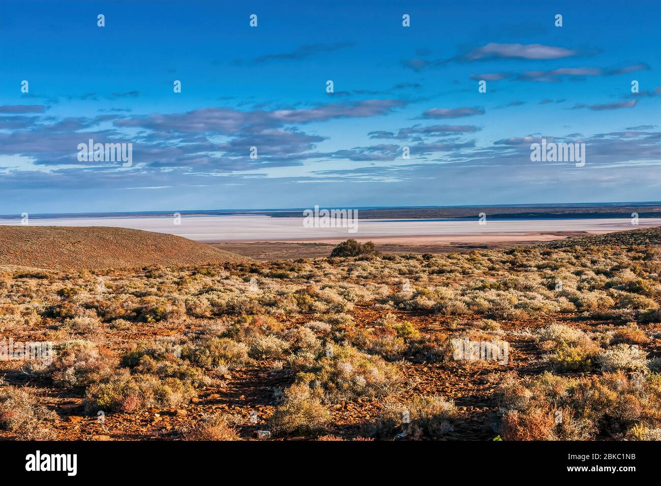 Island Lagoon, un lago salato nell'Australia del Sud Foto Stock