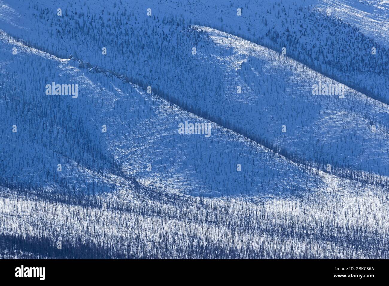 Paesaggio invernale mongolo di montagne e foreste Foto Stock