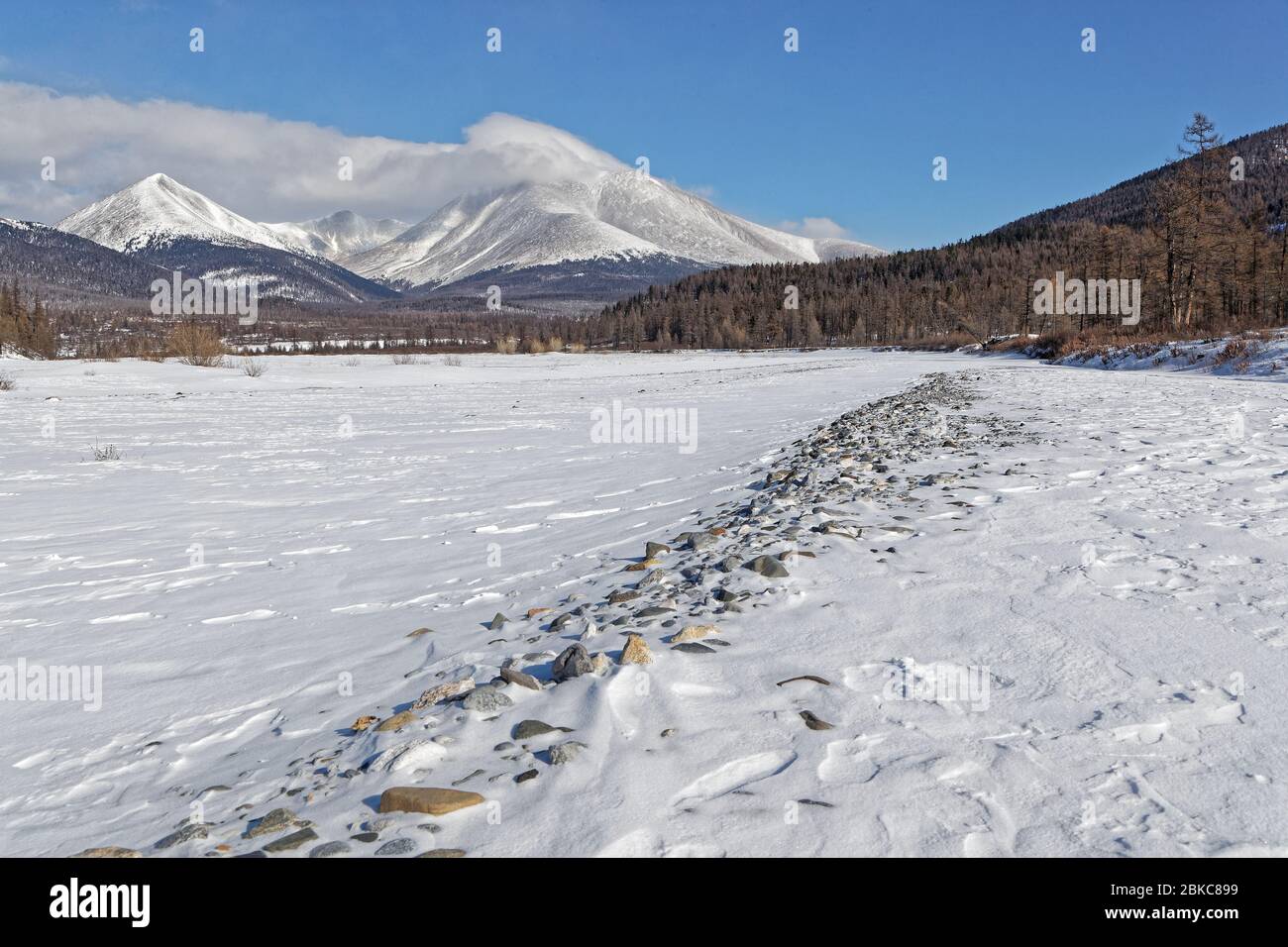 Paesaggio invernale mongolo di foreste e montagne Foto Stock