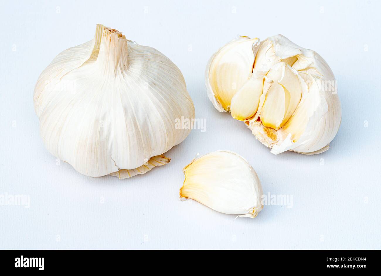 Bulbo d'aglio fresco e spicchi su fondo bianco. L'aglio è usato in tutto il mondo come spezia per condimento del cibo e come medicina tradizionale. Foto Stock