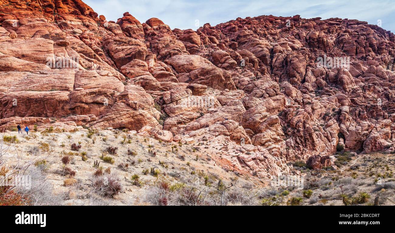 Calico Hills nella Red Rock Canyon National Conservation Area in Nevada, vicino a Las Vegas. Foto Stock