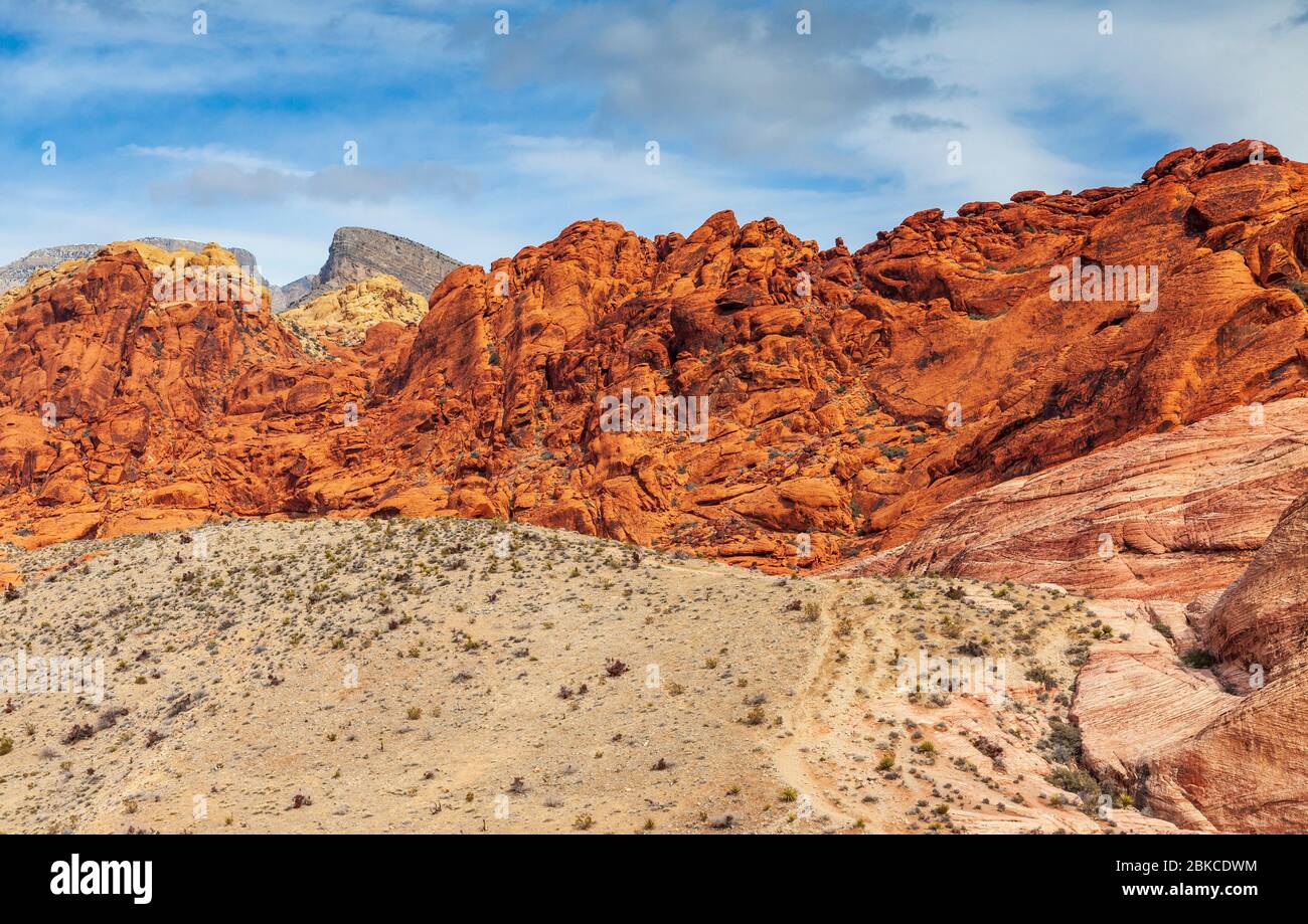 Calico Hills nella Red Rock Canyon National Conservation Area in Nevada, vicino a Las Vegas. Foto Stock