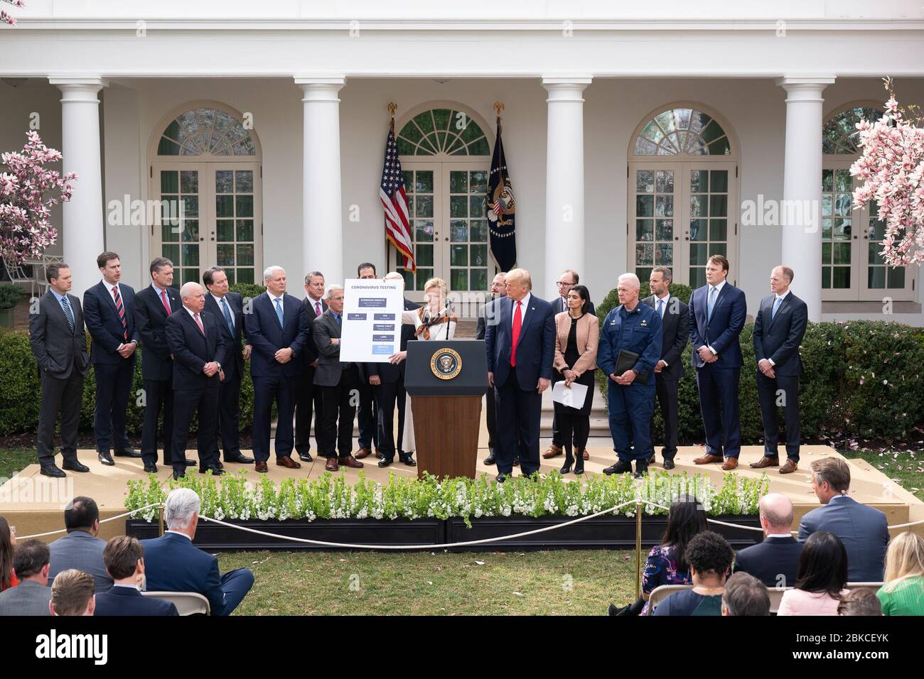 Il 13 marzo 2020, il presidente Donald J. Trump e l'ambasciatore Debbie Birx si sono rivolti alla nazione dal Rose Garden, annunciando un'emergenza nazionale per combattere la pandemia di coronavirus e delineando le misure per la risposta. Foto Stock