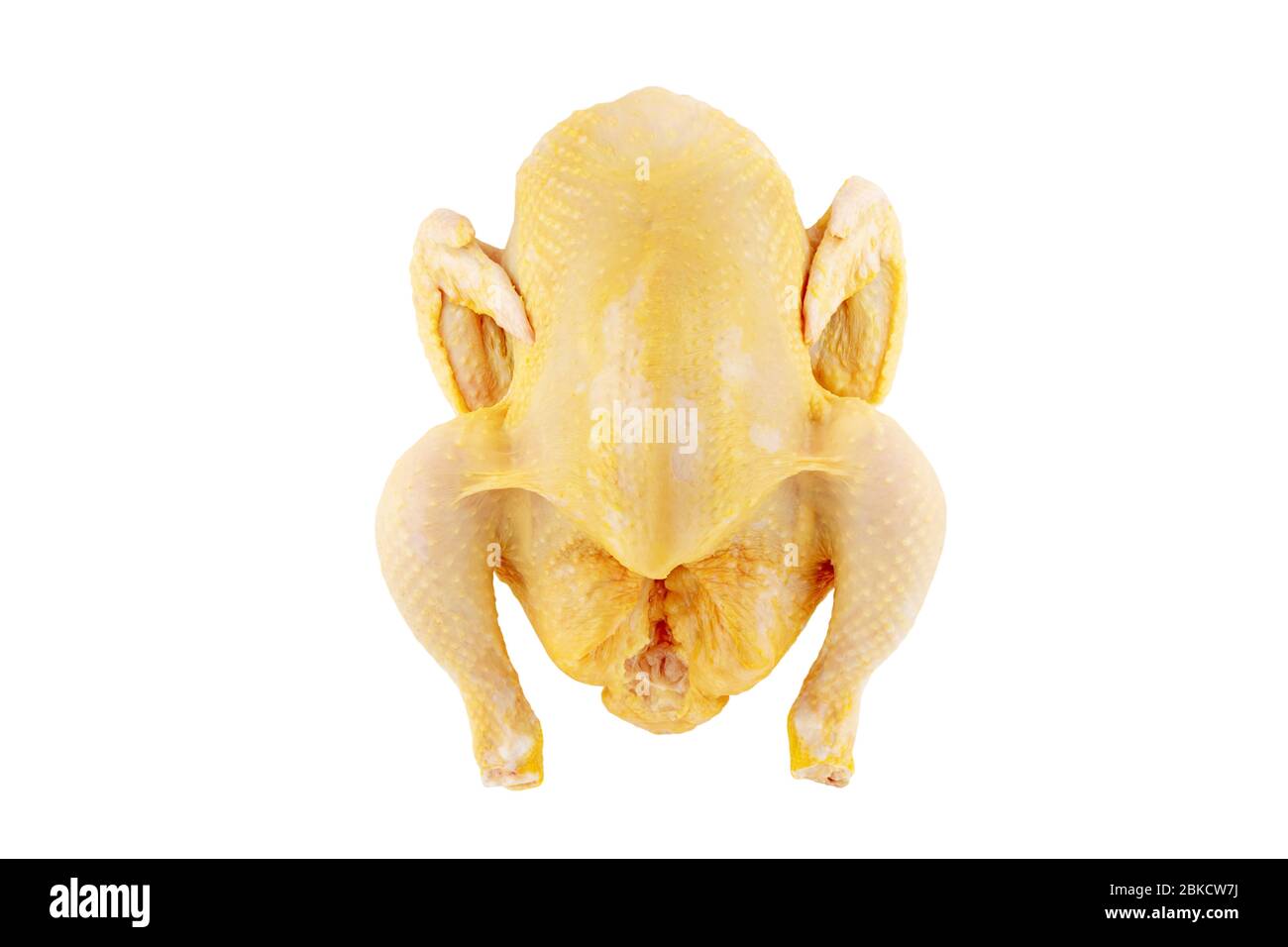 Pollo crudo intero di mais giallo alimentato isolato su bianco. Foto Stock