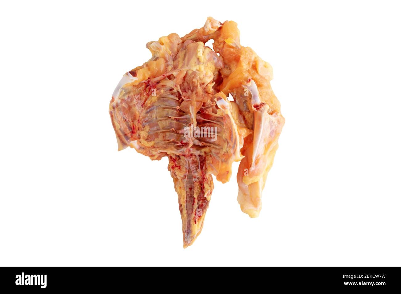 Carcassa di pollo alimentata con mais giallo crudo isolata su bianco. Foto Stock