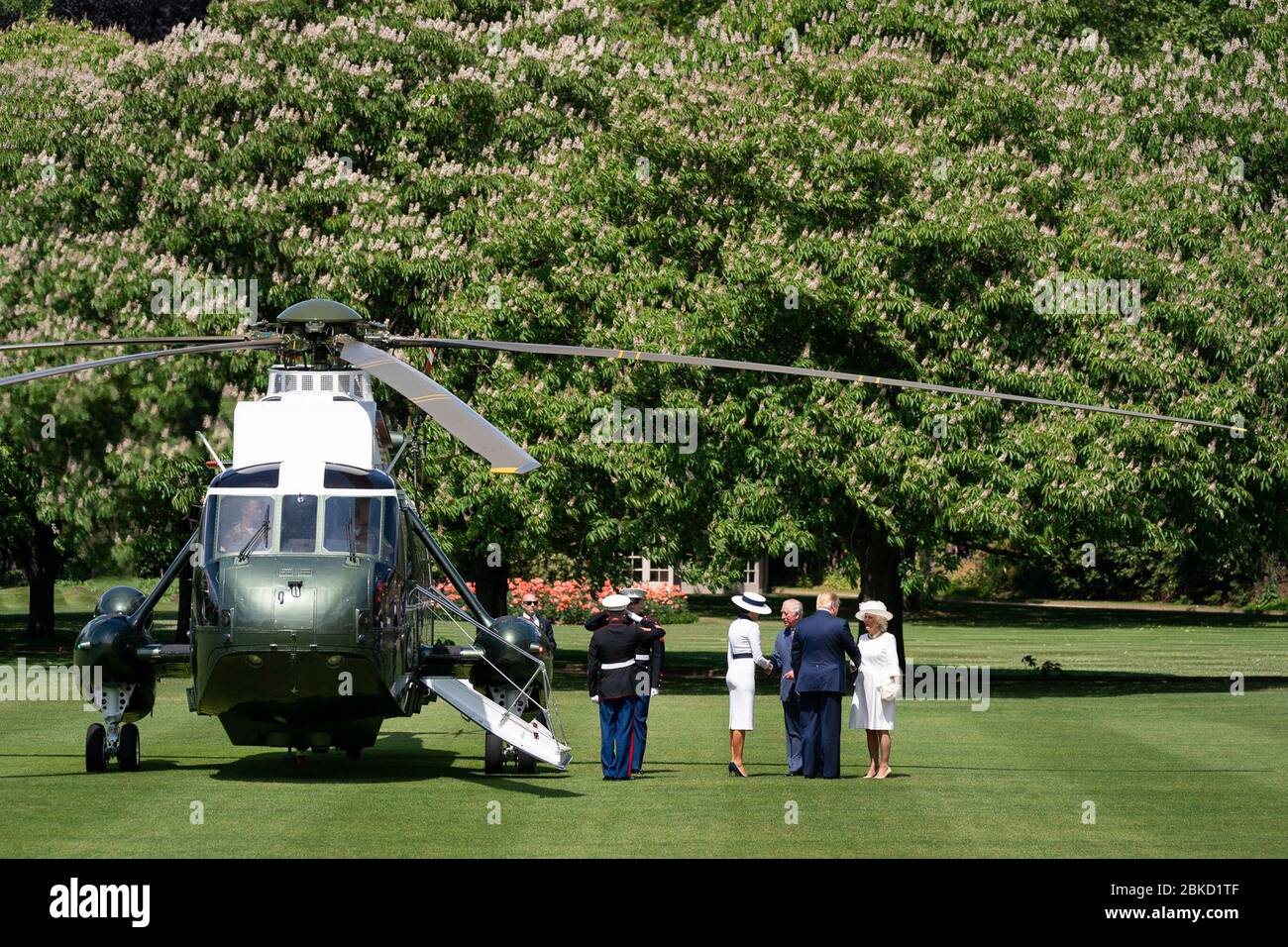 Il presidente Donald Trump e la First Lady Melania Trump sono accolti dal principe Carlo e dalla duchessa di Cornovaglia all'arrivo a Buckingham Palace il 3 giugno 2019, dopo il loro volo dagli Stati Uniti come parte della loro visita ufficiale di stato nel Regno Unito. Foto Stock