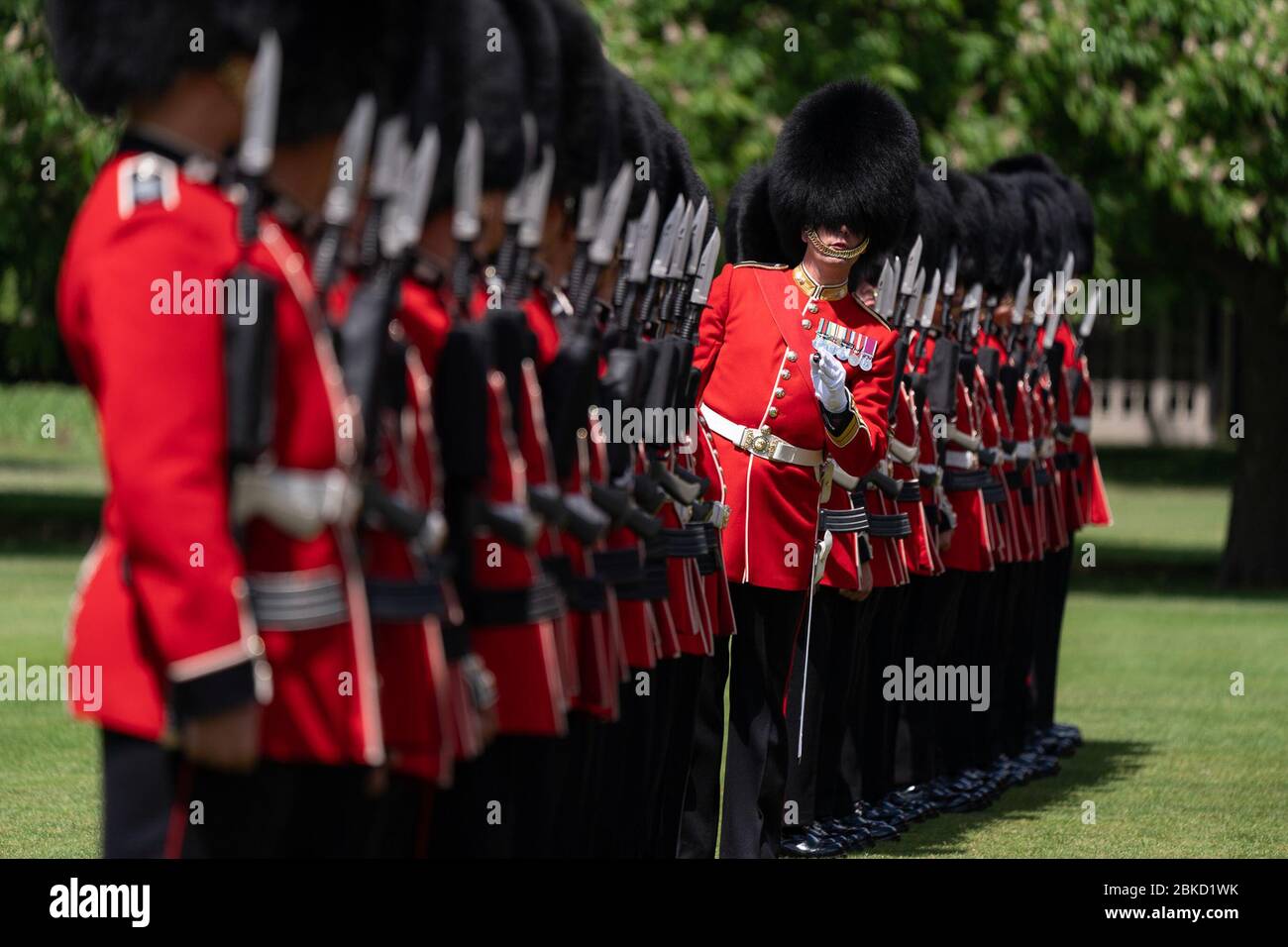 Il 3 giugno 2019, le Grenadier Guards, accompagnate dalla Band of the Grenadier Guards, hanno reso una Royal salute in onore del presidente Donald J. Trump e della First Lady Melania Trump durante la loro visita ufficiale a Buckingham Palace. Foto Stock