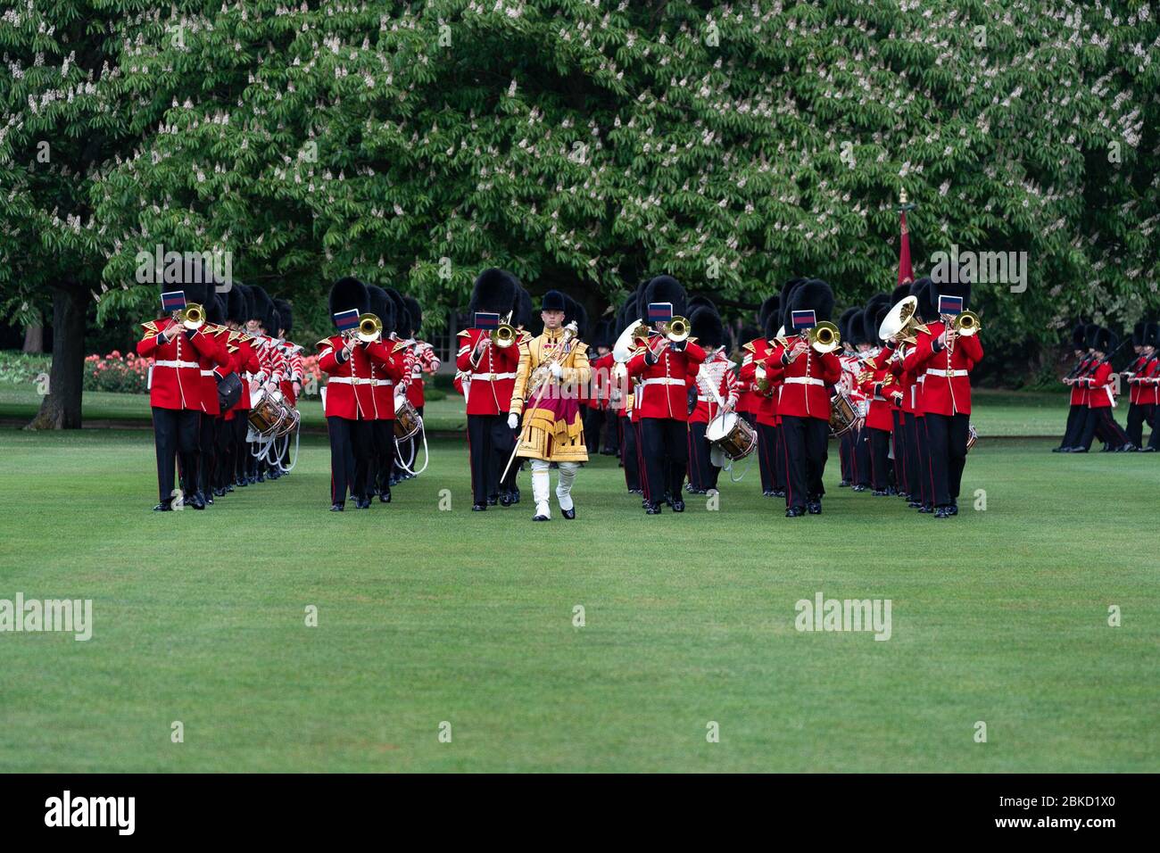 Il 3 giugno 2019, le Grenadier Guards eseguirono un Royal salute a Buckingham Palace per dare il benvenuto al presidente Donald Trump e alla First Lady Melania Trump durante la loro visita ufficiale nel Regno Unito. La cerimonia faceva parte del loro viaggio diplomatico per rafforzare le relazioni tra Stati Uniti e Regno Unito. Foto Stock