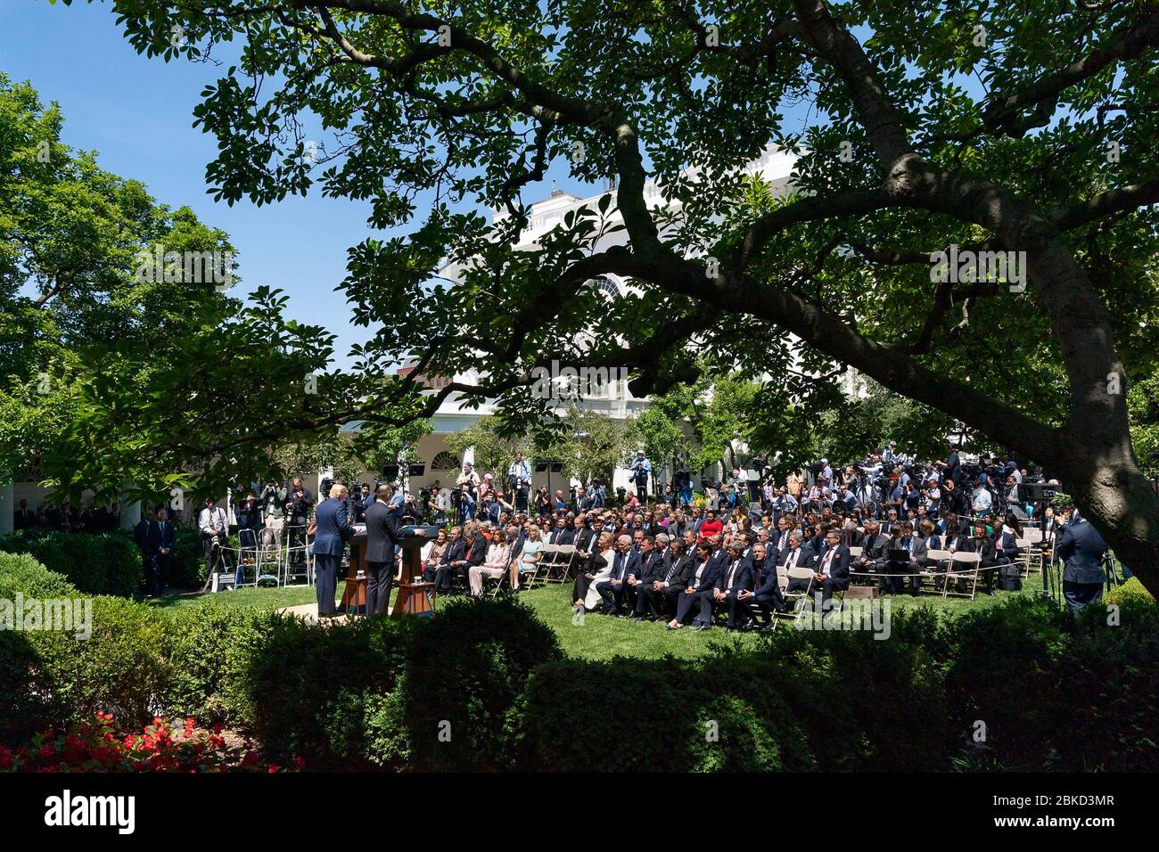 Il 12 giugno 2019, il presidente Donald Trump ha tenuto una conferenza stampa congiunta con il presidente polacco Andrzej Duda al Rose Garden della Casa Bianca, discutendo questioni bilaterali chiave e rafforzando le relazioni tra Stati Uniti e Polonia. Foto Stock
