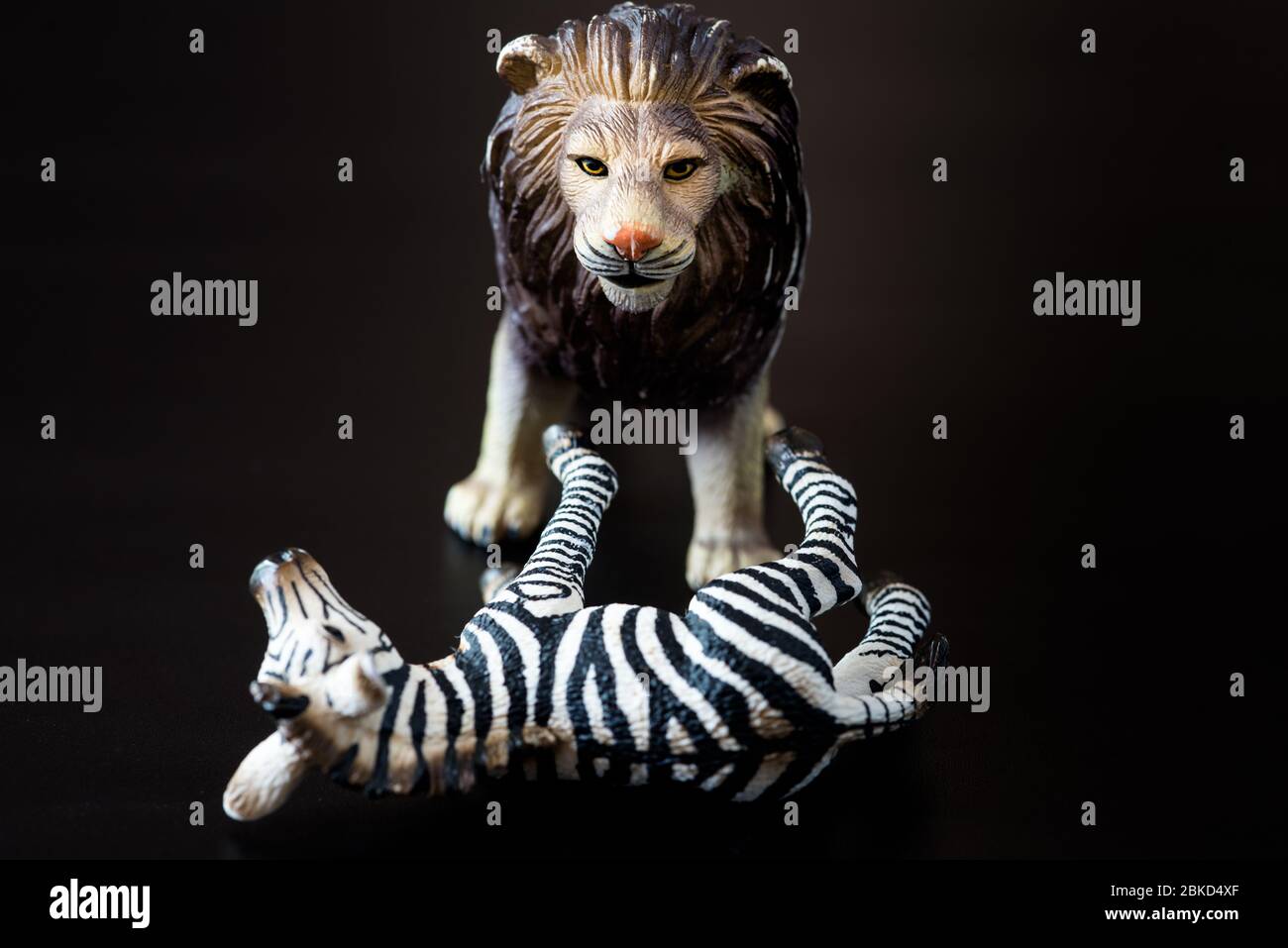 Concetto di giocattolo per leoni e zebre Foto Stock