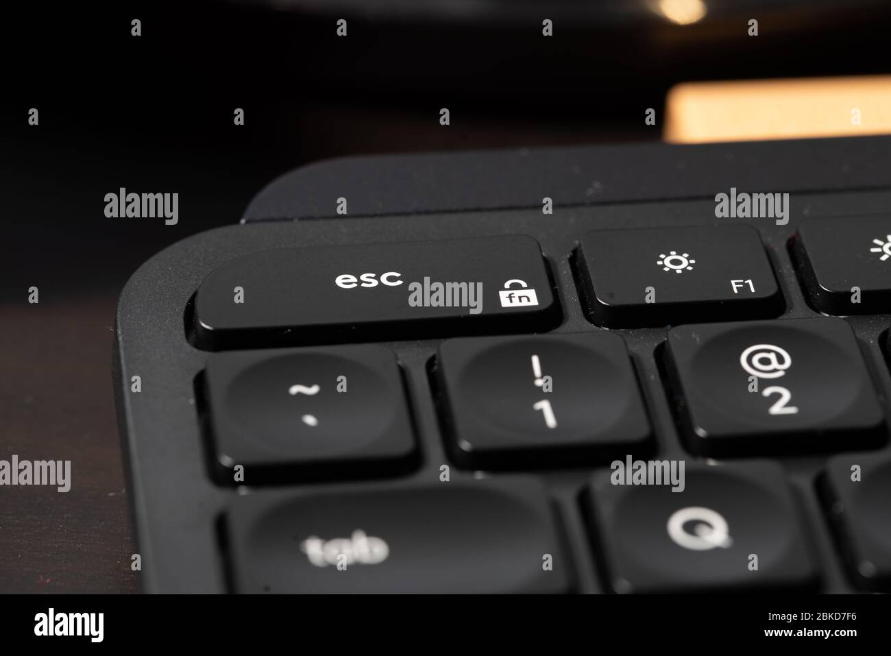 La tastiera di un computer è un dispositivo di input che consente a una  persona di immettere lettere, numeri e altri simboli Foto stock - Alamy