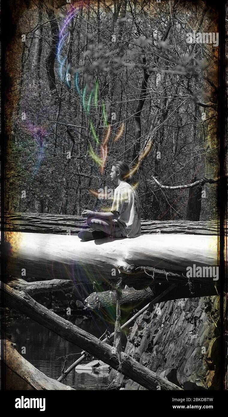 mediazione su arty albero Foto Stock