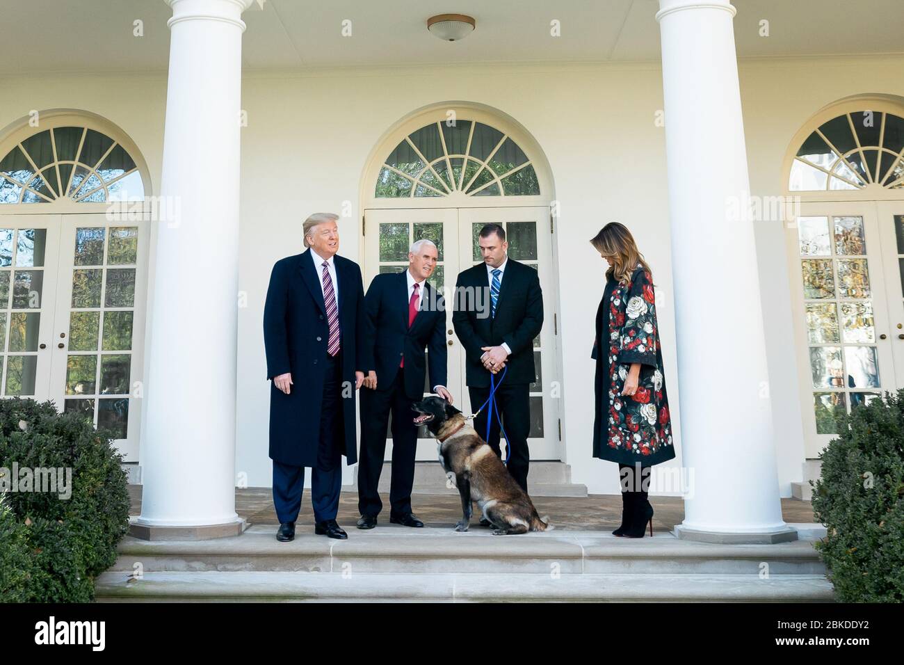 Il 25 novembre 2019, il presidente Donald Trump, la First Lady Melania Trump e il vicepresidente Mike Pence presentarono Conan, un cane militare belga Malinois, alla stampa nel Rose Garden della Casa Bianca. Conan ha svolto un ruolo chiave nell'operazione contro il leader dell'ISIS Abu Bakr al-Baghdadi in Siria nell'ottobre 2019. Foto Stock