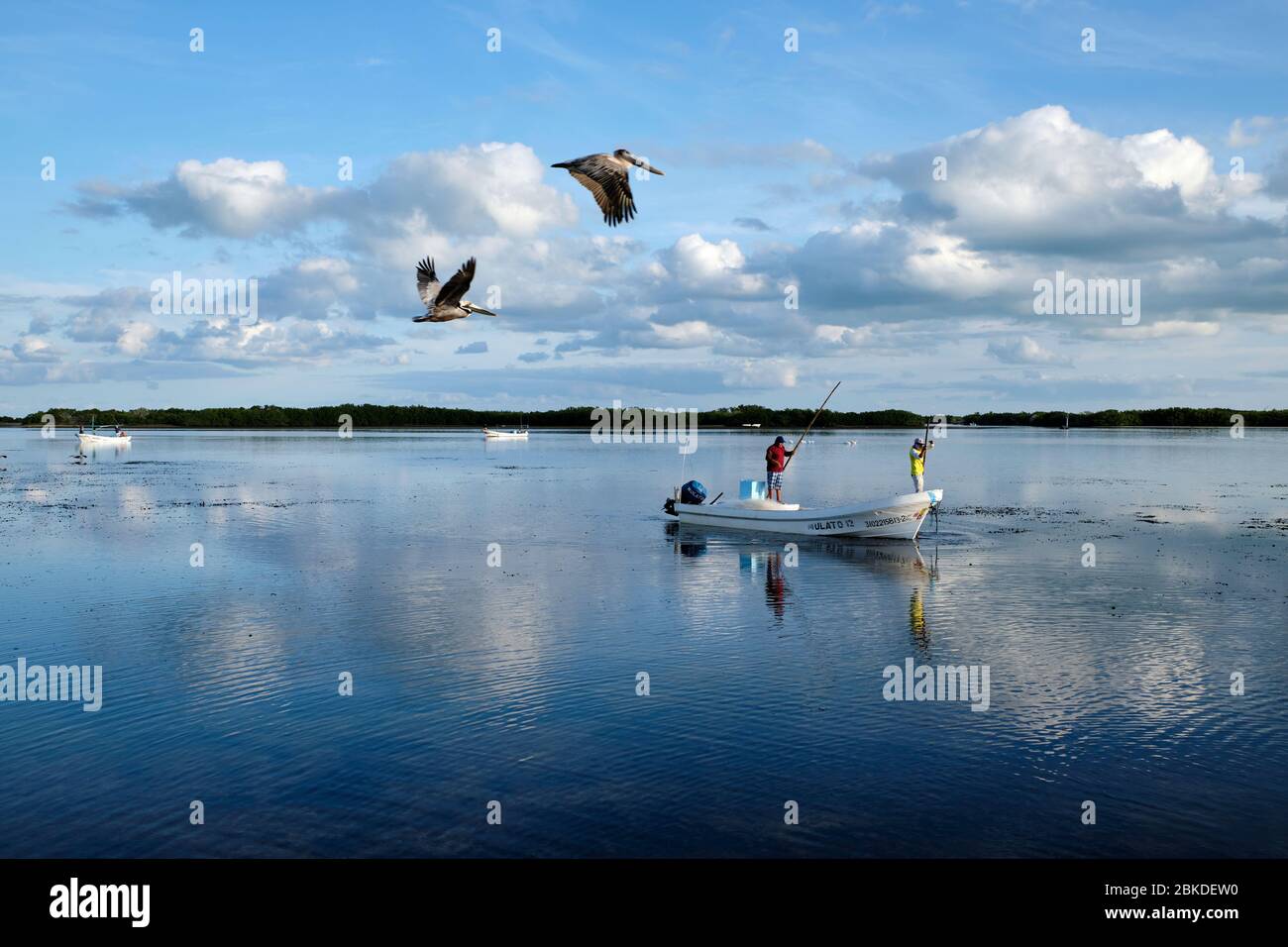 I pescatori tornano in porto nelle loro piccole imbarcazioni all'alba dopo una lunga notte di lavoro, mentre i pellicani aspettano di approfittare dei resti. Foto Stock