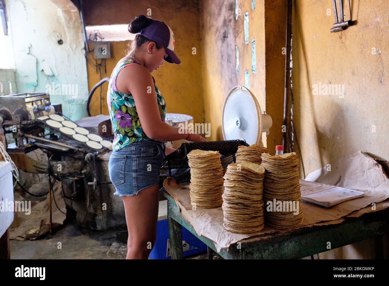 Giovane donna che fa e accatastando frittelle di mais in una piccola panetteria nella città di San Felipe. I tortitas sono il cibo di base della maggior parte del popolo Foto Stock