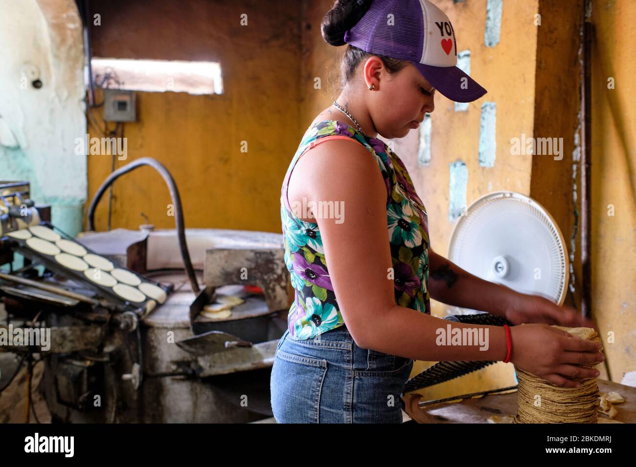 Giovane donna che fa e accatastando frittelle di mais in una piccola panetteria nella città di San Felipe. I tortitas sono il cibo di base della maggior parte del popolo Foto Stock
