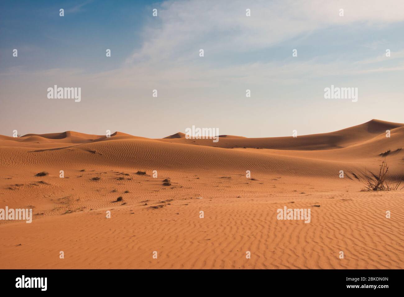 Miglia e miglia di deserto nella calda Dubai Emirati Arabi Uniti. Foto Stock