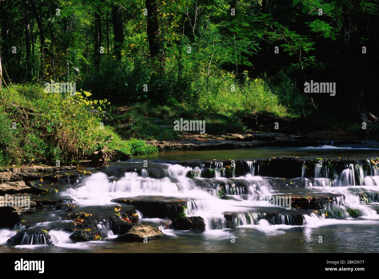 Crockett cade, David Crockett parco statale, Tennessee Foto Stock