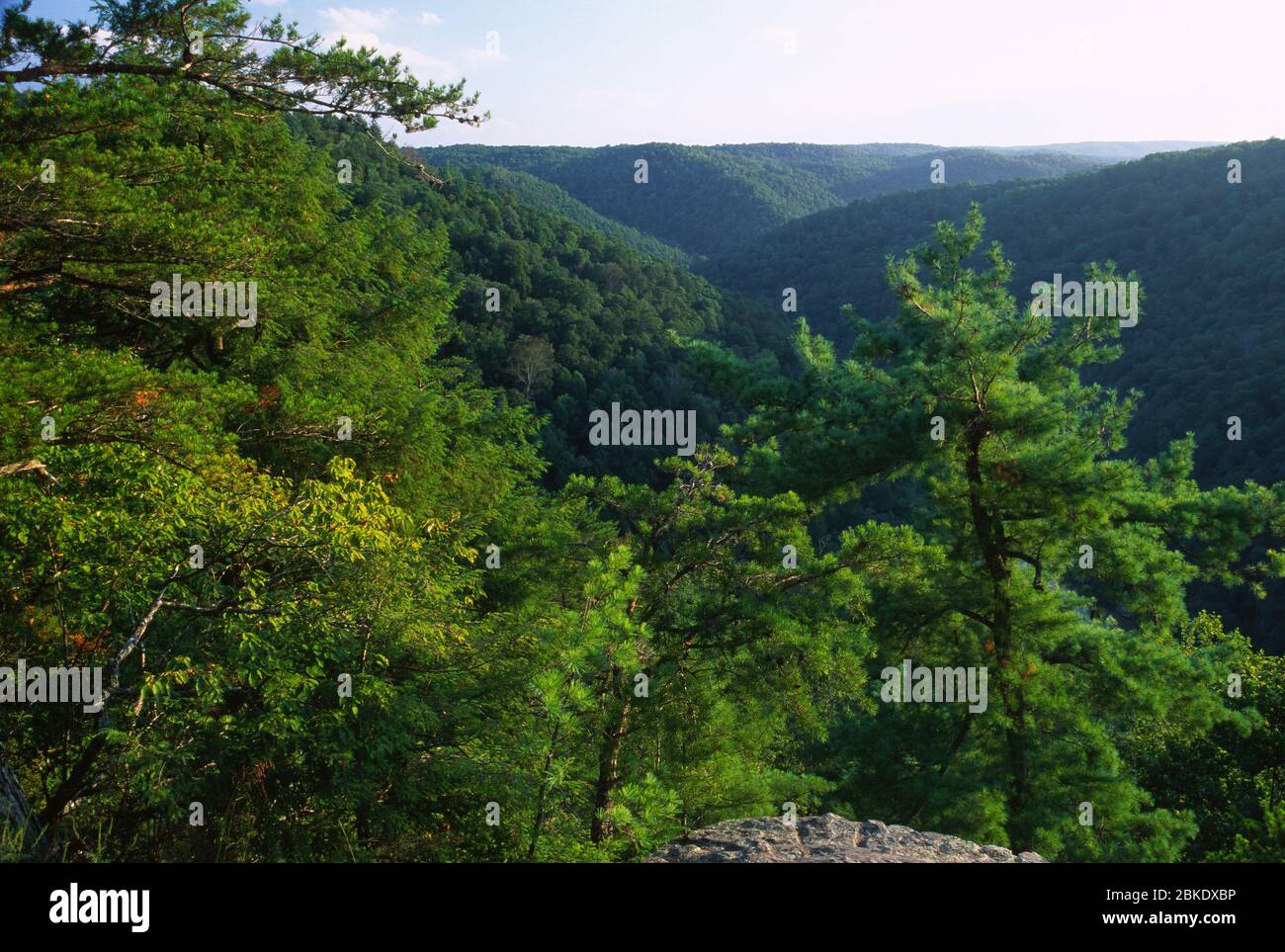 East Rim Overlook, Big South Fork National River, Tennessee Foto Stock