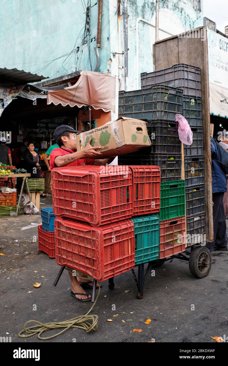 Porter caricando la sua carriola con scatole di frutta e verdura in una bancarella nel mercato comunale di Merida. Foto Stock