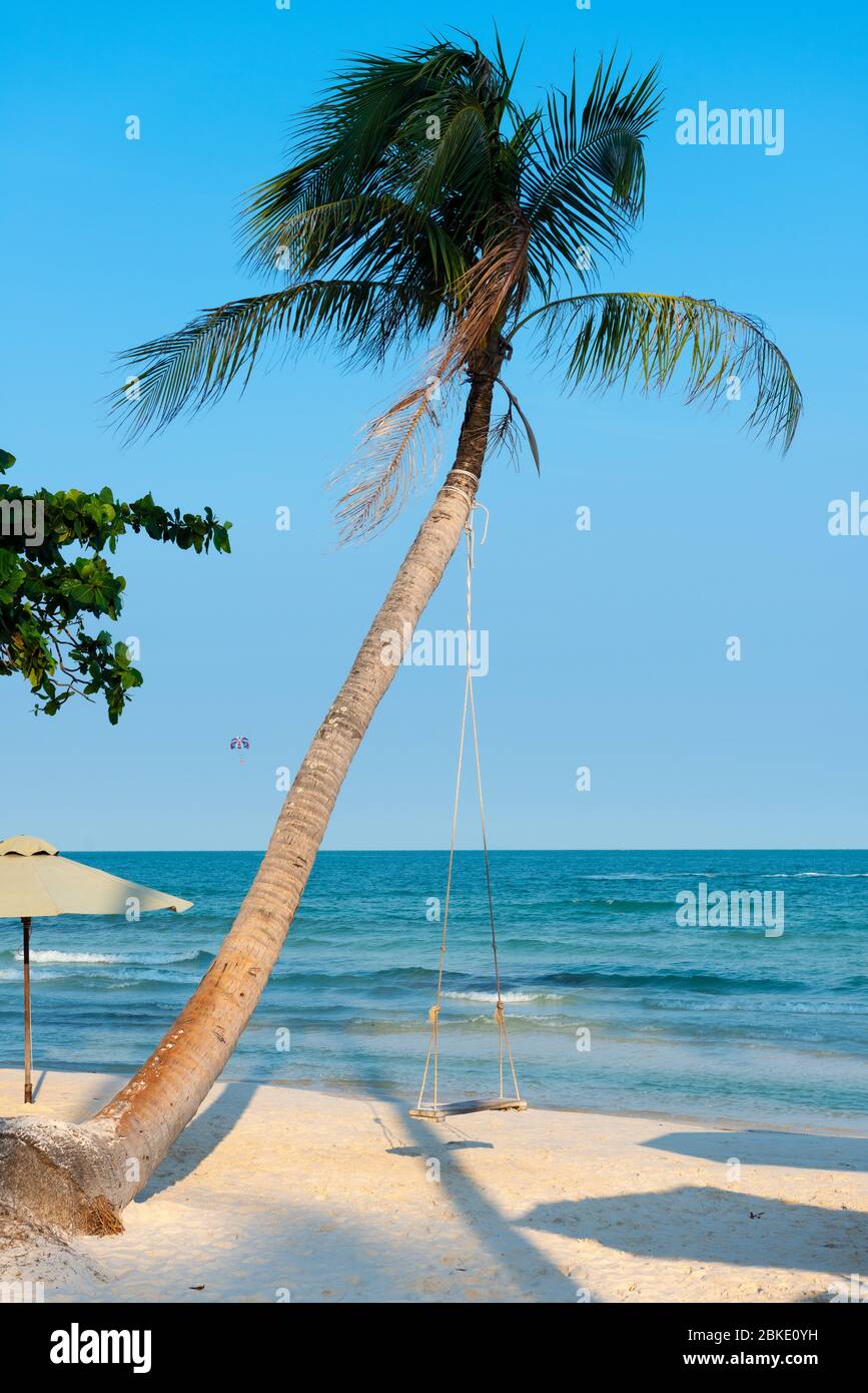 Fai un'escursione su Lonely Palm Tree, Bai Sao Beach, Phu Quoc, Vietnam Foto Stock