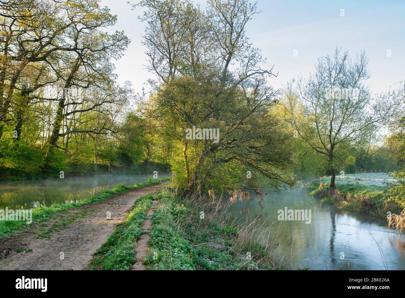 Fiume cherwell vicino al canale Oxford in una mattina primaverile. Lower Heyford, Oxfordshire, Inghilterra Foto Stock